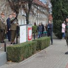 zdjęcie nr 8