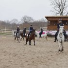 zdjęcie nr 42