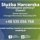 zdjęcie nr 7
