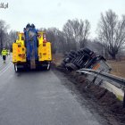 Fotka nr 4 z 16