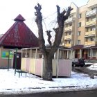Podcinka drzew na osiedlu Za Politechniką nadesłane