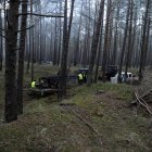 zdjęcie nr 14