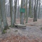 zdjęcie nr 9