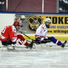 zdjęcie nr 11