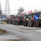 zdjęcie nr 107