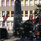 zdjęcie nr 14