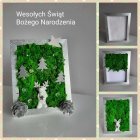zdjęcie nr 8