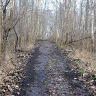zdjęcie nr 20