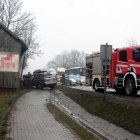 zdjęcie nr 8