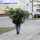 zdjęcie nr 28