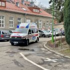 zdjęcie nr 7