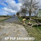 zdjęcie nr 16