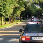 zdjęcie nr 77