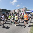 zdjęcie nr 238