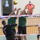 zdjęcie nr 131