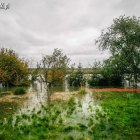 zdjęcie nr 24