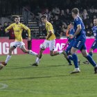 zdjęcie nr 12