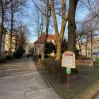 zdjęcie nr 9