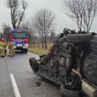 zdjęcie nr 8