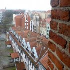 Międzynarodowy Dzień Przewodnika w Elblągu Aleksandra Szymańska