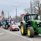 zdjęcie nr 26
