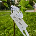 zdjęcie nr 14