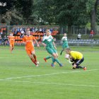 zdjęcie nr 12