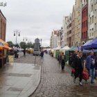 zdjęcie nr 26