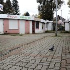 zdjęcie nr 7