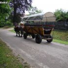 Fotka nr 3 z 37