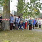 zdjęcie nr 15