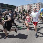 zdjęcie nr 245