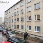 zdjęcie nr 9