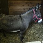 zdjęcie nr 9