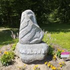 zdjęcie nr 45