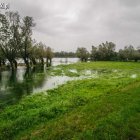zdjęcie nr 31