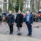 zdjęcie nr 45