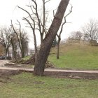zdjęcie nr 15
