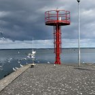 zdjęcie nr 175