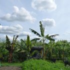 zdjęcie nr 23