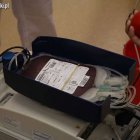  nadesłane/Zespół Szkół Gospodarczych w Elblągu