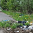 Nielegalne wysypisko w Raczkach Elbląskich Michał Skroboszewski