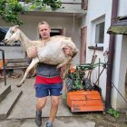  Ośrodek Okresowej Rehabilitacji Zwierząt Jelonki