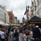 zdjęcie nr 15