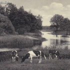 zdjęcie nr 34