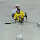  Marek Lewandowski
