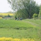 zdjęcie nr 15