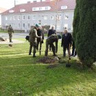 zdjęcie nr 36