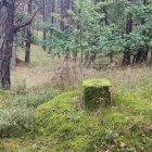 zdjęcie nr 35