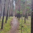zdjęcie nr 44
